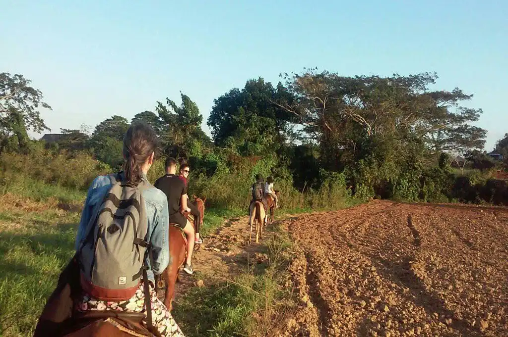 Viñales, 22400, Pinar del Rio, Cuba. Nuestro equipo de trabajo te ofrece una bella experiencia a caballo x todo el Parque Nacional.. Reservas online, Caballos del Valle.