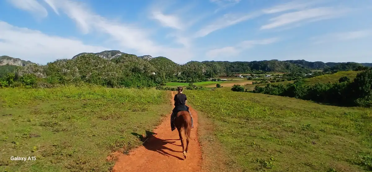 Viñales Pinar del Rio. Cuba. Usted vivirá una experiencia inolvidable en su viaje a Cuba, con nosotros descubrirá los valores socio - culturales que identifican y distinguen a los pobladores del lugar.. Reservas online, Paseo a caballo por el Valle de Viñales.