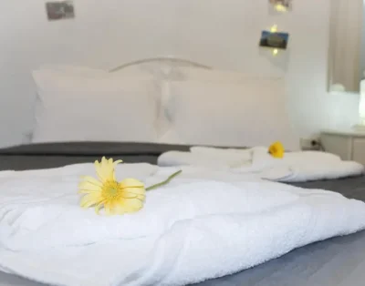 CASA DE LAS OLMOS, Habitación 2