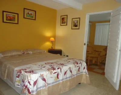 Casalupeplayita16, (Habit, 2)